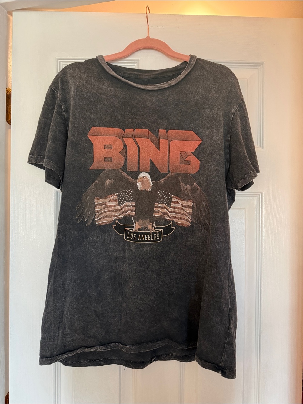 Anine Bing Los Angeles Eagle Graphic Tee - Black with Red Print
